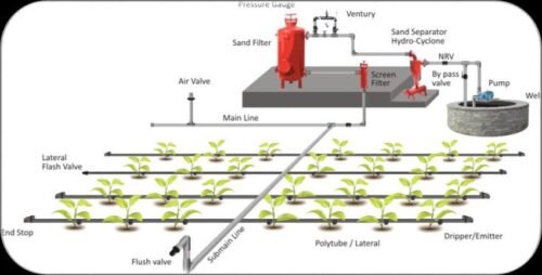 Drip Irrigation System